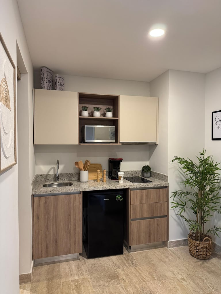 Modern compact kitchenette with cream cabinetry, wooden lower cabinets, granite countertop, black microwave, and potted plant in corner