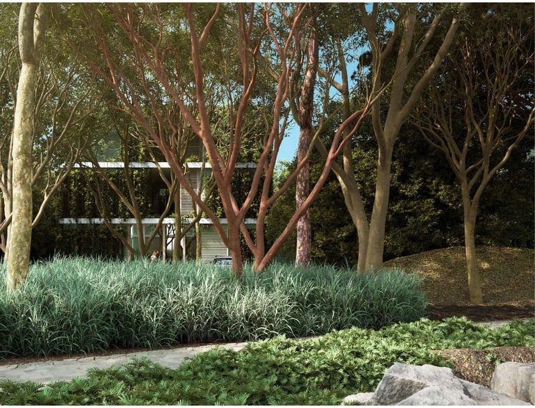 Tranquil garden with tall eucalyptus trees, ornamental grasses, green shrubs, stepping stones, and a wooden structure in the background under blue sky.