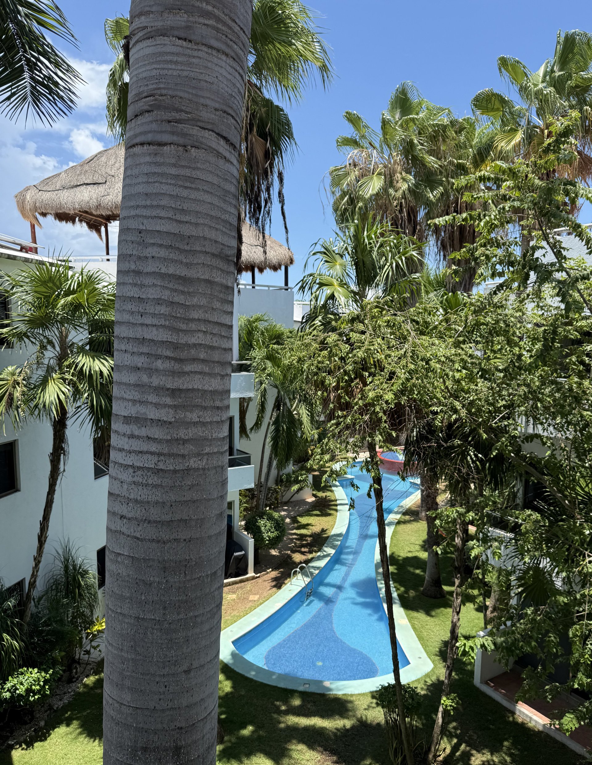 Blue water slide winding through tropical resort grounds with palm trees and thatched structures