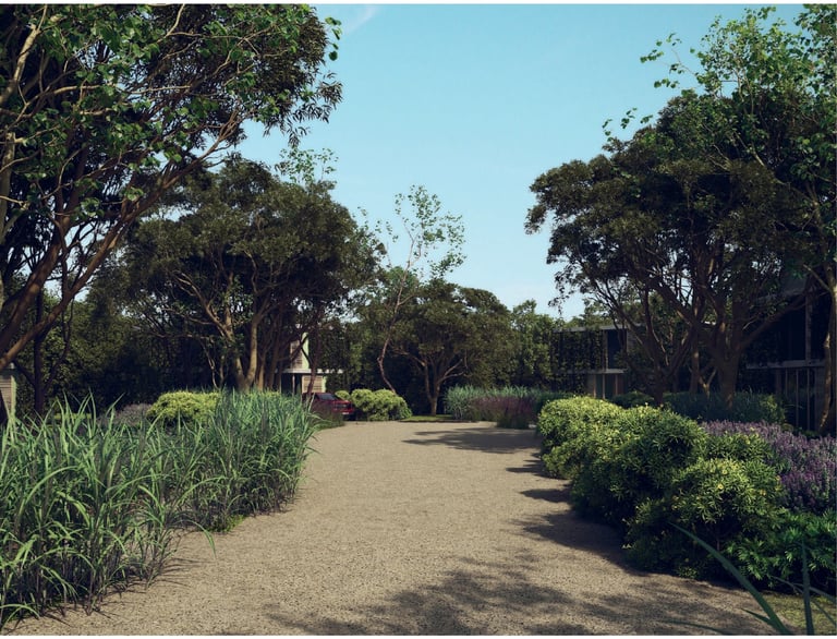 A tree-lined garden pathway with ornamental grasses and shrubs on both sides under a clear blue sky