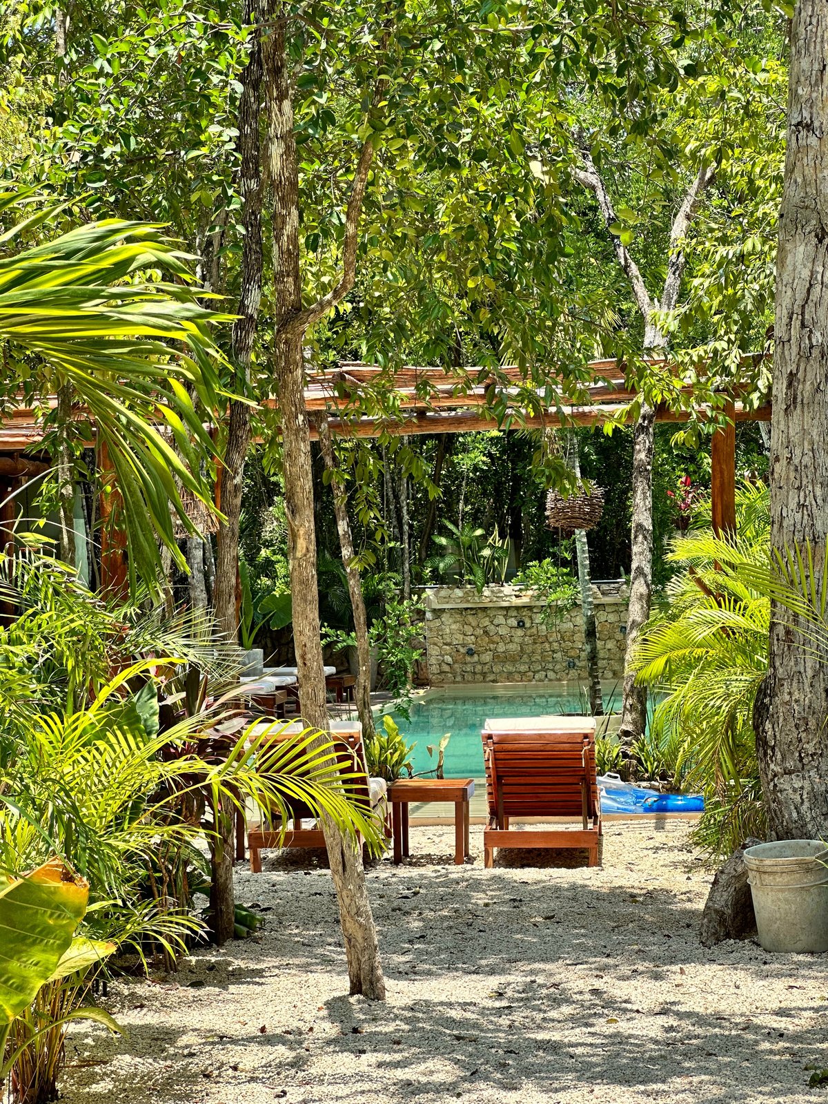 Tropical backyard oasis with wooden pergola, turquoise pool, lounge chairs, palm plants, and tall shade trees